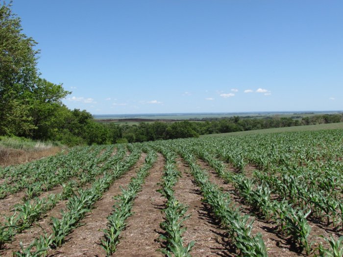 Land Auction - 320 Acres Summit Township, Burt County, Nebraska