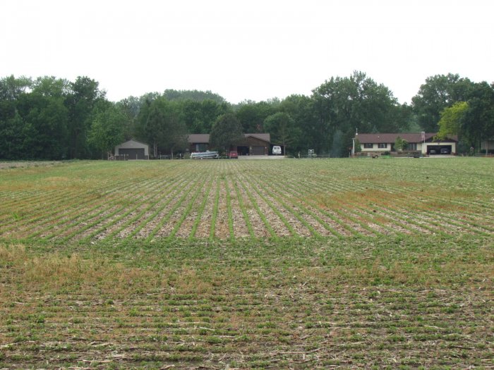 Land Auction - 303.56 Acres Offered in 3 Tracts in Monona County, Iowa