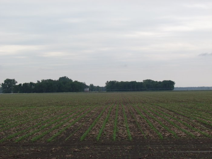 Land Auction - 155.43 Acres in Monona County, Iowa
