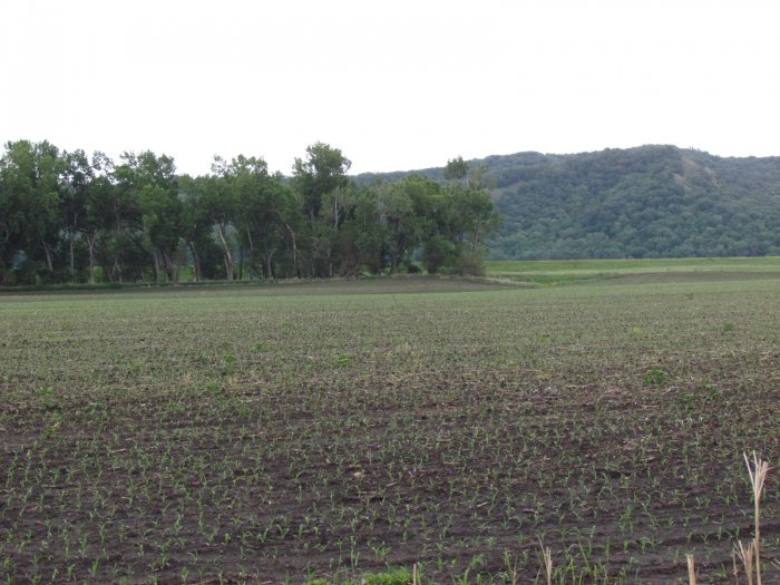 Land Auction - 600 Acres offered in 4 Tracts - located SE of Blencoe, Iowa