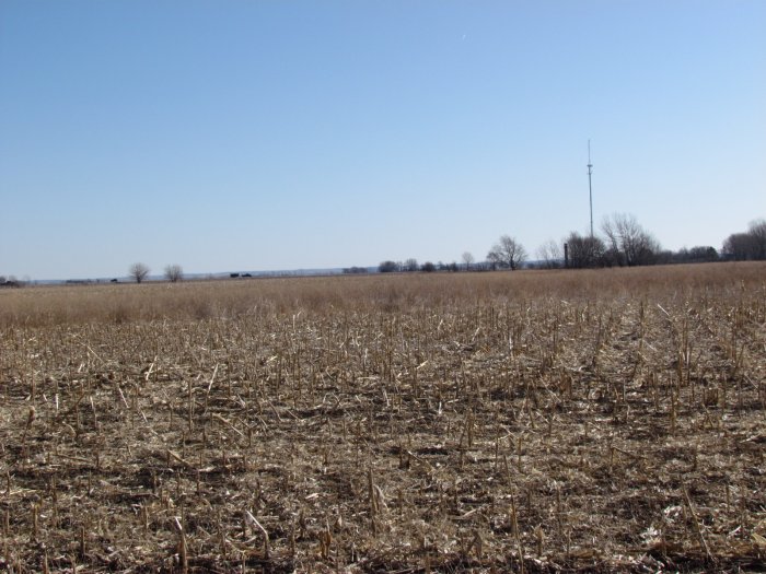 Land Auction - 215.16 Acres offered in 2 Tracts in Monona County, Iowa