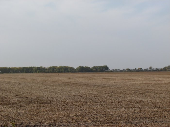 Land Auction - 152.42 Acres - Monona County, Iowa - Near Onawa, Iowa