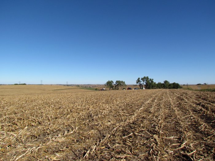 Land Auction - 156.23 Acres - Monona County, Iowa - Near Ute, IA.