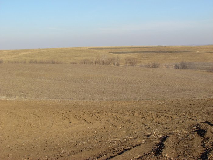 Land Auction - 260.42 Acres in 2 Tracts - Monona County, Iowa