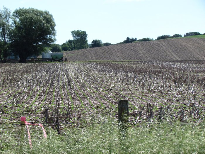 Land Auction - 181.48 Acres of Prime Maple River Bottom - Center Township