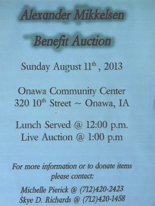Alexander Mikkelsen Benefit Auction