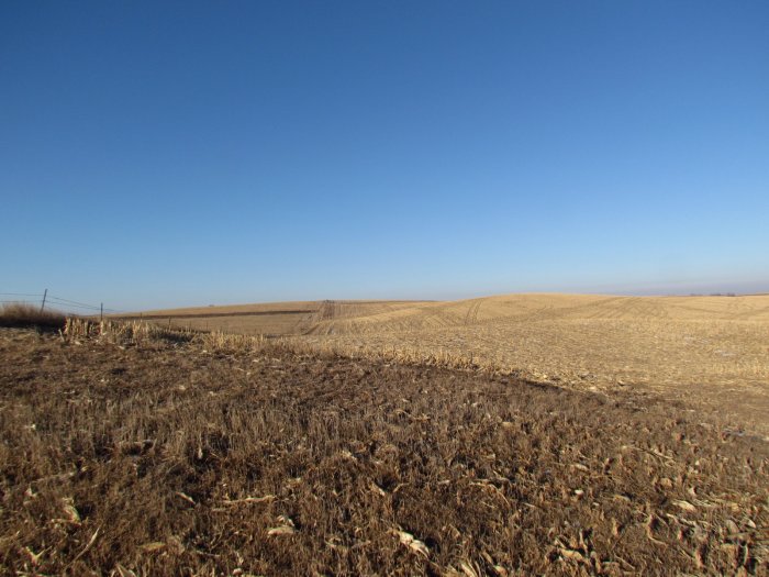 224.02 Acres of Quality Farmland Offered at Public Auction - Soldier Township, Crawford County, Iowa - (Land Sold in 2 Tracts)