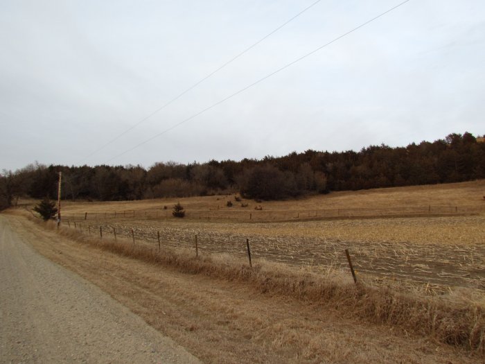 Land Auction - 116.10 Acres of Loess Hills Farmland with Timber, Productive Tillable Cropland and Home (Acreage Site)  Whitetail and Turkey Heaven