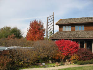 PUBLIC REAL ESTATE AUCTION -  Beautiful Monona County Home & Acreage - Still For Sale!