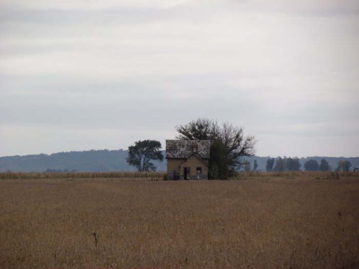 Land Auction - 156 Acres Ashton Township - Monona County, Iowa