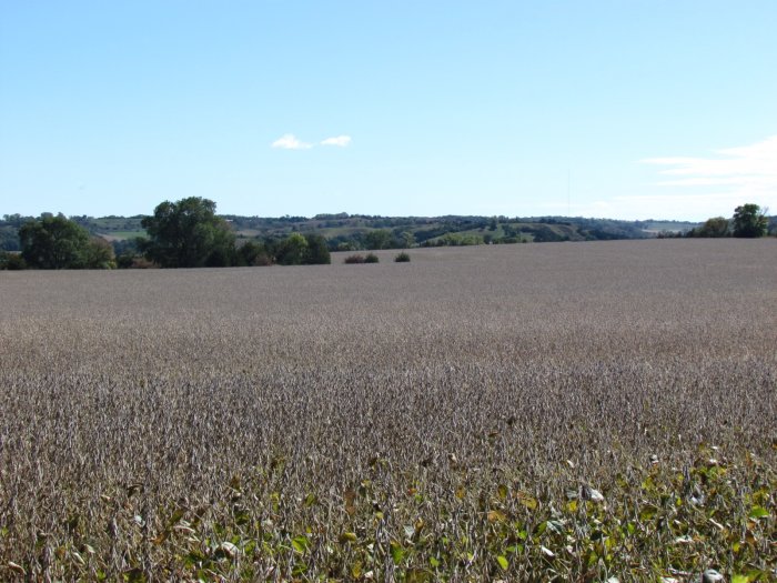 Land Auction - 201.66 Acres - Belvidere Township, Monona County, Iowa - Peter Kinnick Estate