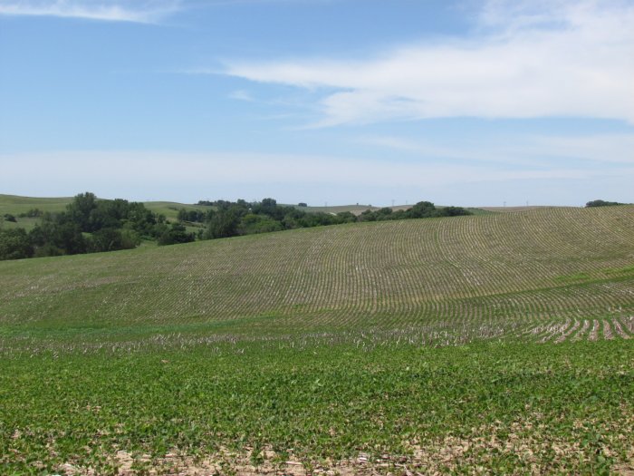 Land Auction - 218.84 Acres in Maple Township, Monona County, Iowa - Delmond E. Scheer Estate