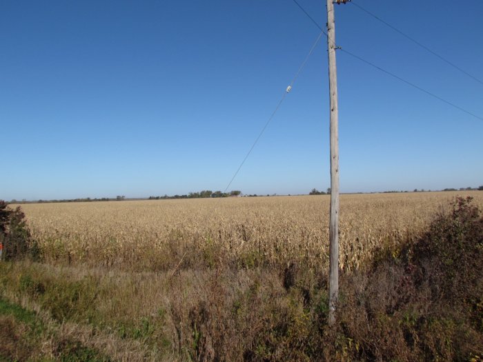 Land Auction - 81.53 Acres - E1/2 of SE1/4 of 10-81-45 Harrison County, Iowa