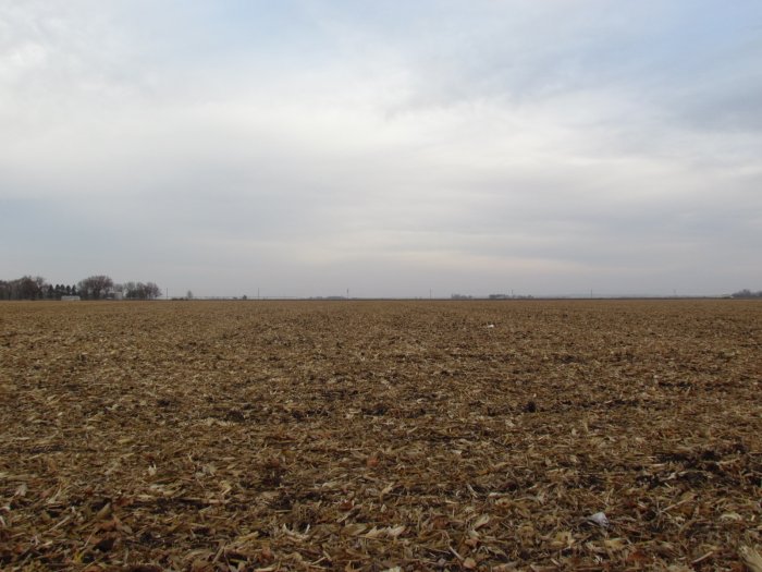 LAND AUCTION - 133.94 Quality Acres Adjacent to North Side of Onawa, IA. 