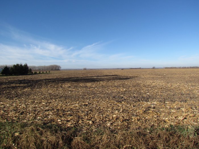 LAND AUCTION 400.87 Acres m/l in 3 Parcels, Sloan and Lake Townships, Woodbury & Monona County, IA